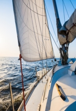 Bulletin 3: Covid-19 and Force Majeure